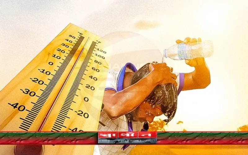 সংগ্রহীত ছবি